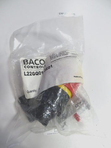 BACO CONTROLS L22GQ01-3E01 KEY RELEASE STOP + KM REMOTE STOP M22-PV